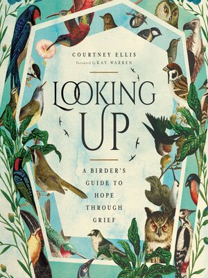 cover image of Looking Up